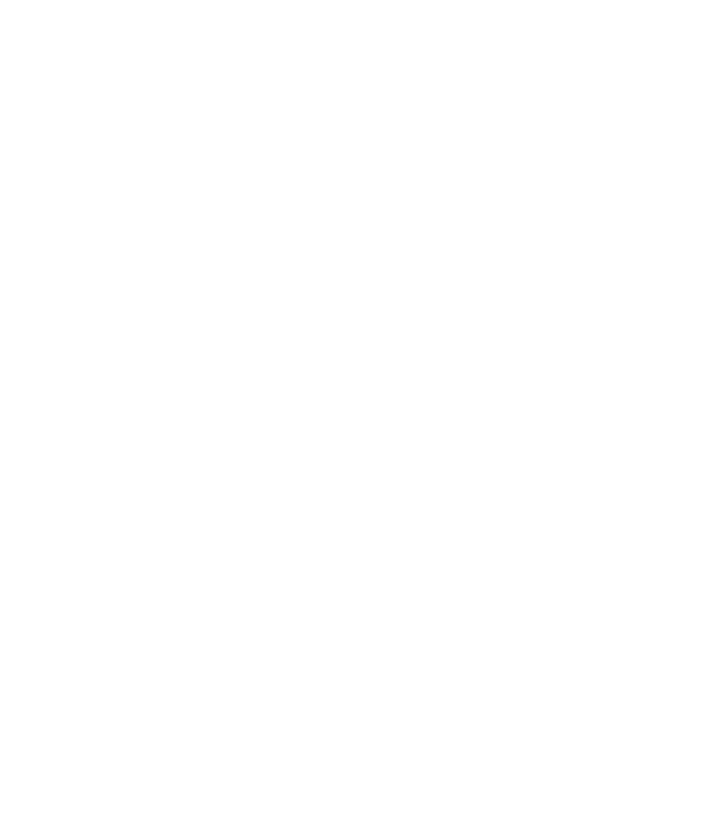 Logo rian